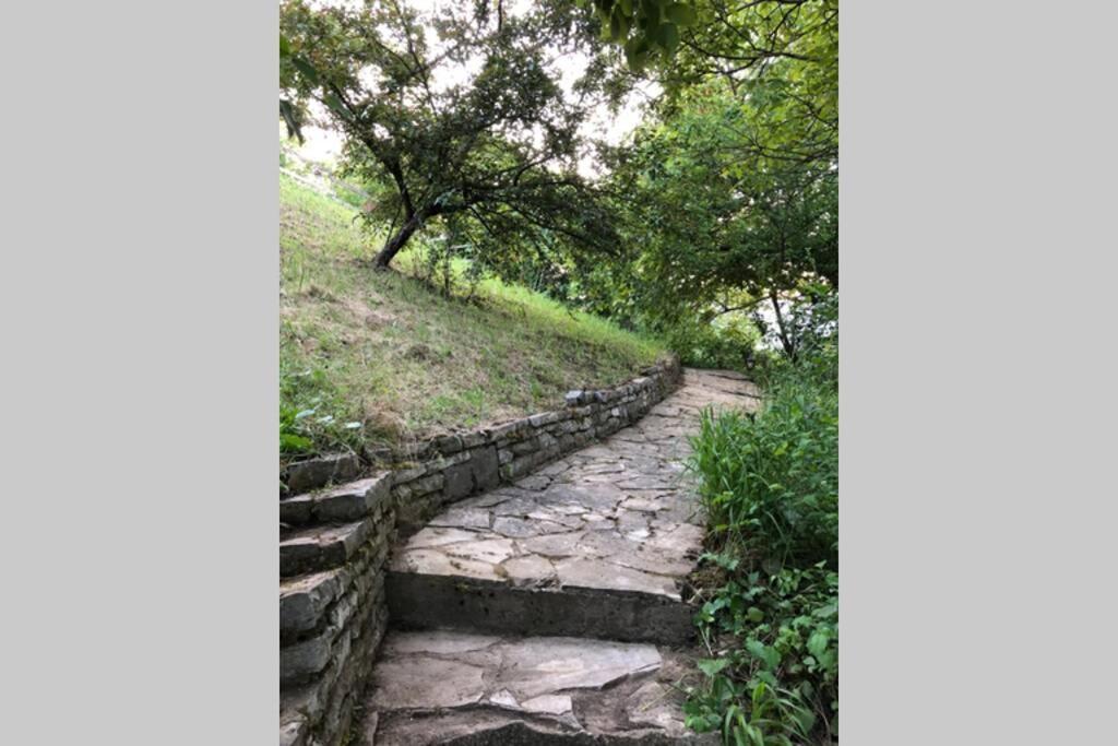 Villa Kornelija Stari Slankamen Exteriör bild