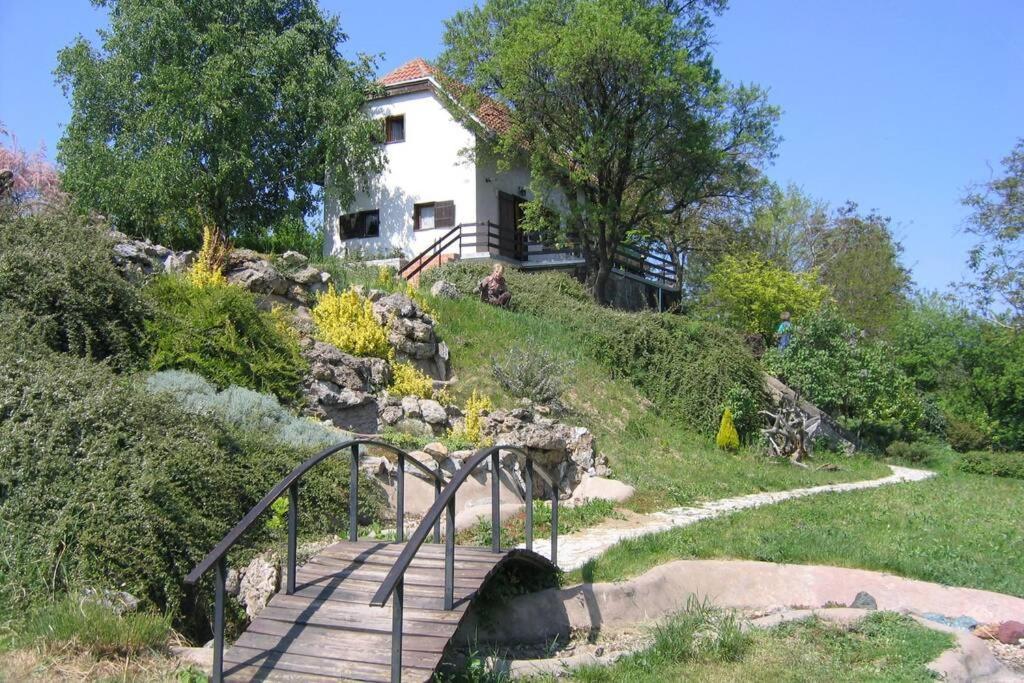 Villa Kornelija Stari Slankamen Exteriör bild