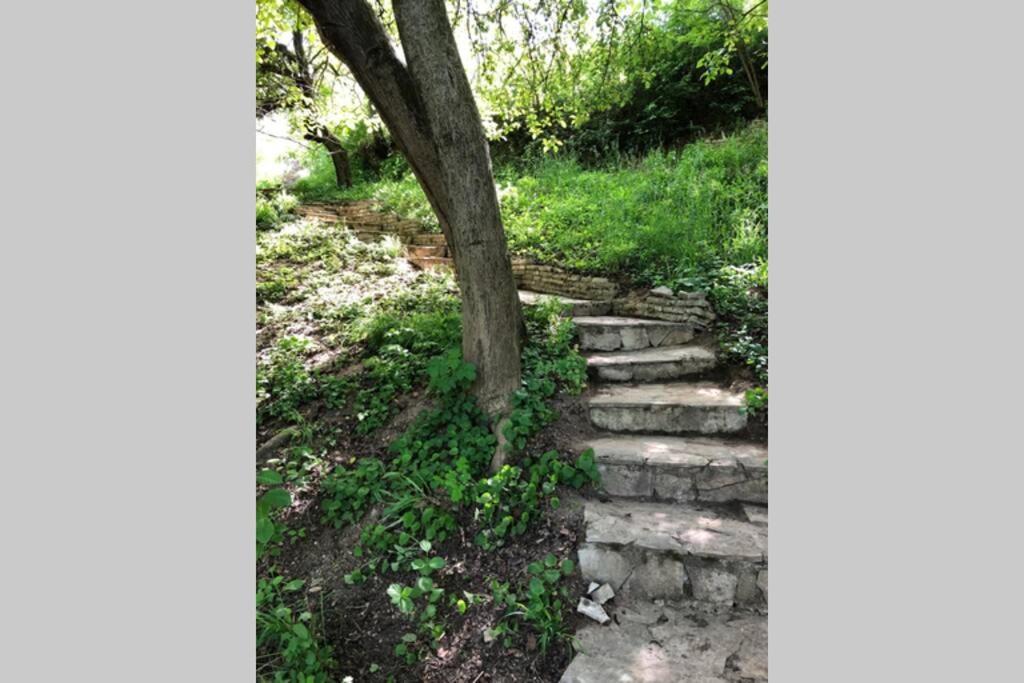 Villa Kornelija Stari Slankamen Exteriör bild