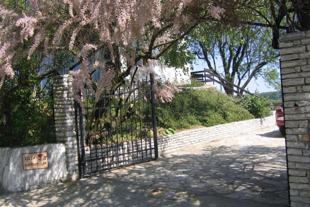 Villa Kornelija Stari Slankamen Exteriör bild