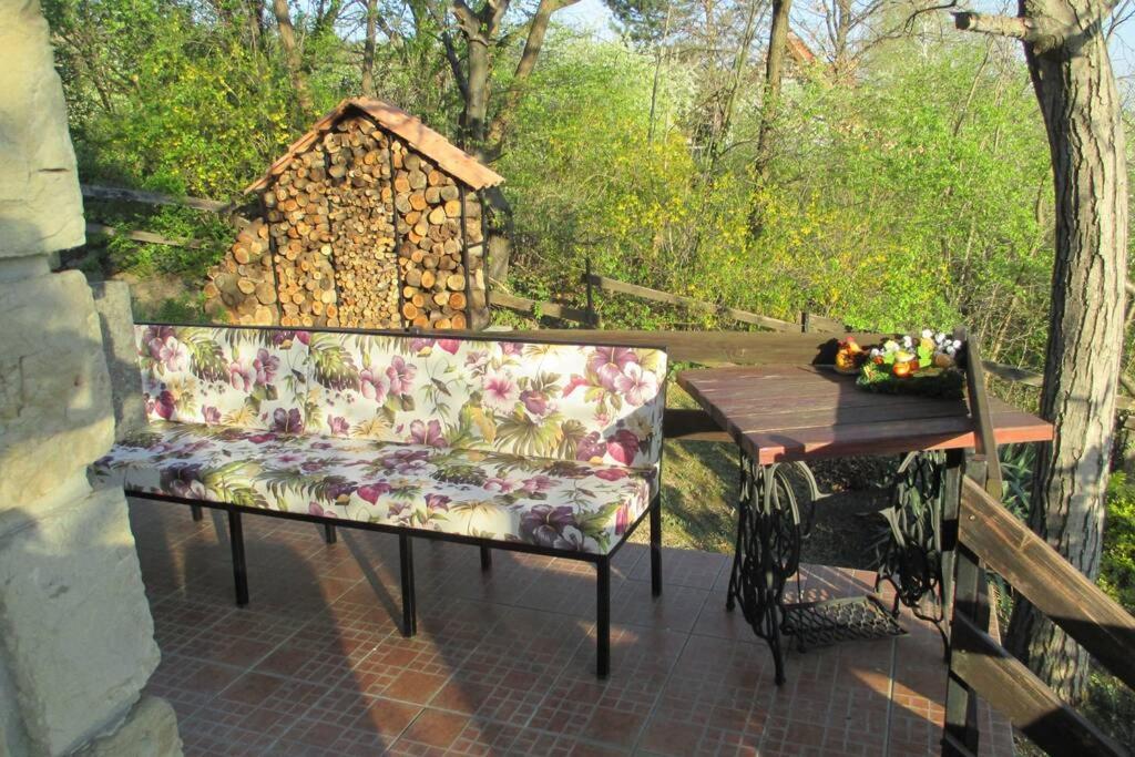 Villa Kornelija Stari Slankamen Exteriör bild
